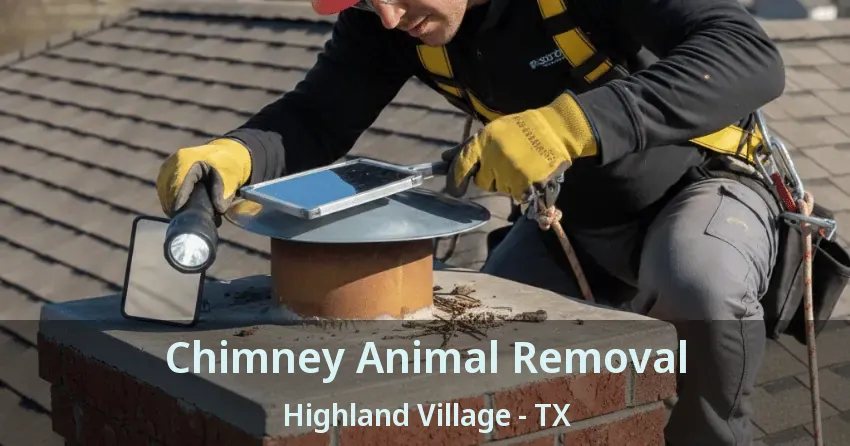 Chimney Animal Removal Highland Village - TX