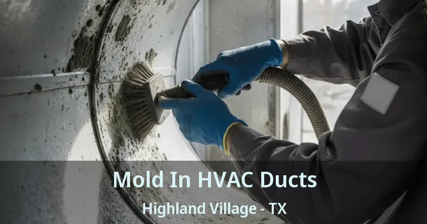 Mold In HVAC Ducts Highland Village - TX